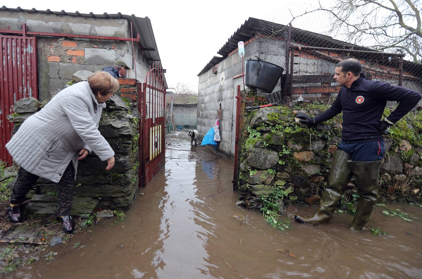 Fotos: Temporal de lluvia en el Bierzo