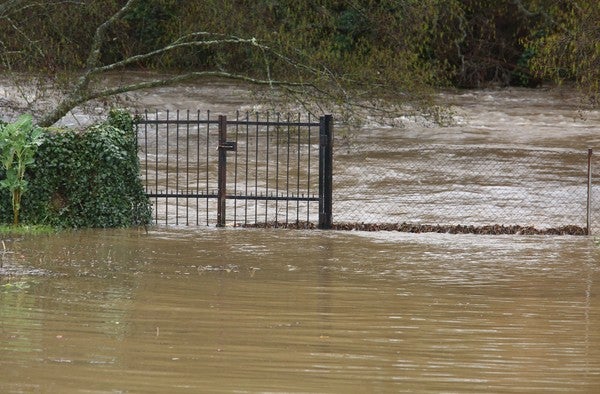 Fotos: Temporal de lluvia en el Bierzo