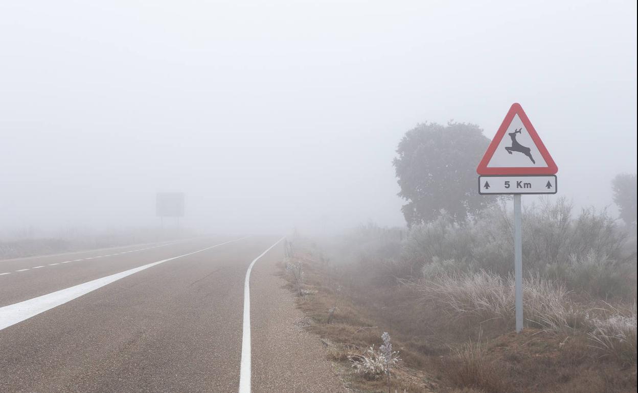 Niebla en Zamora.