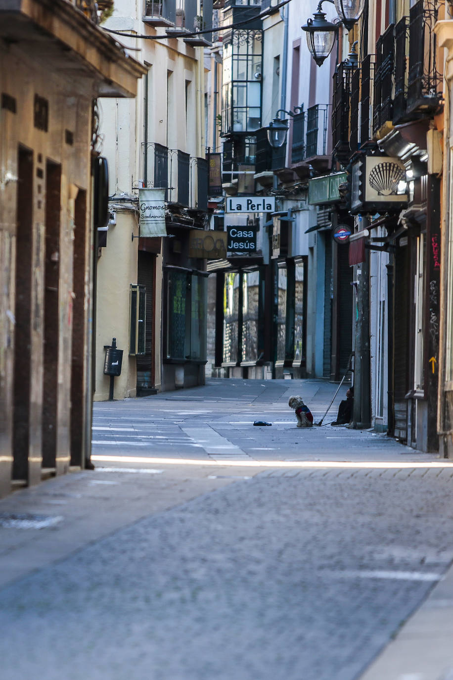 Fotos: León, una ciudad 'fantasma', bajo el objetivo de Carlos S. Campillo
