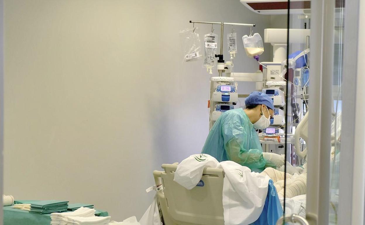 León baja la ocupación de las UCI al 44% y dispone de capacidad sin las extendidas