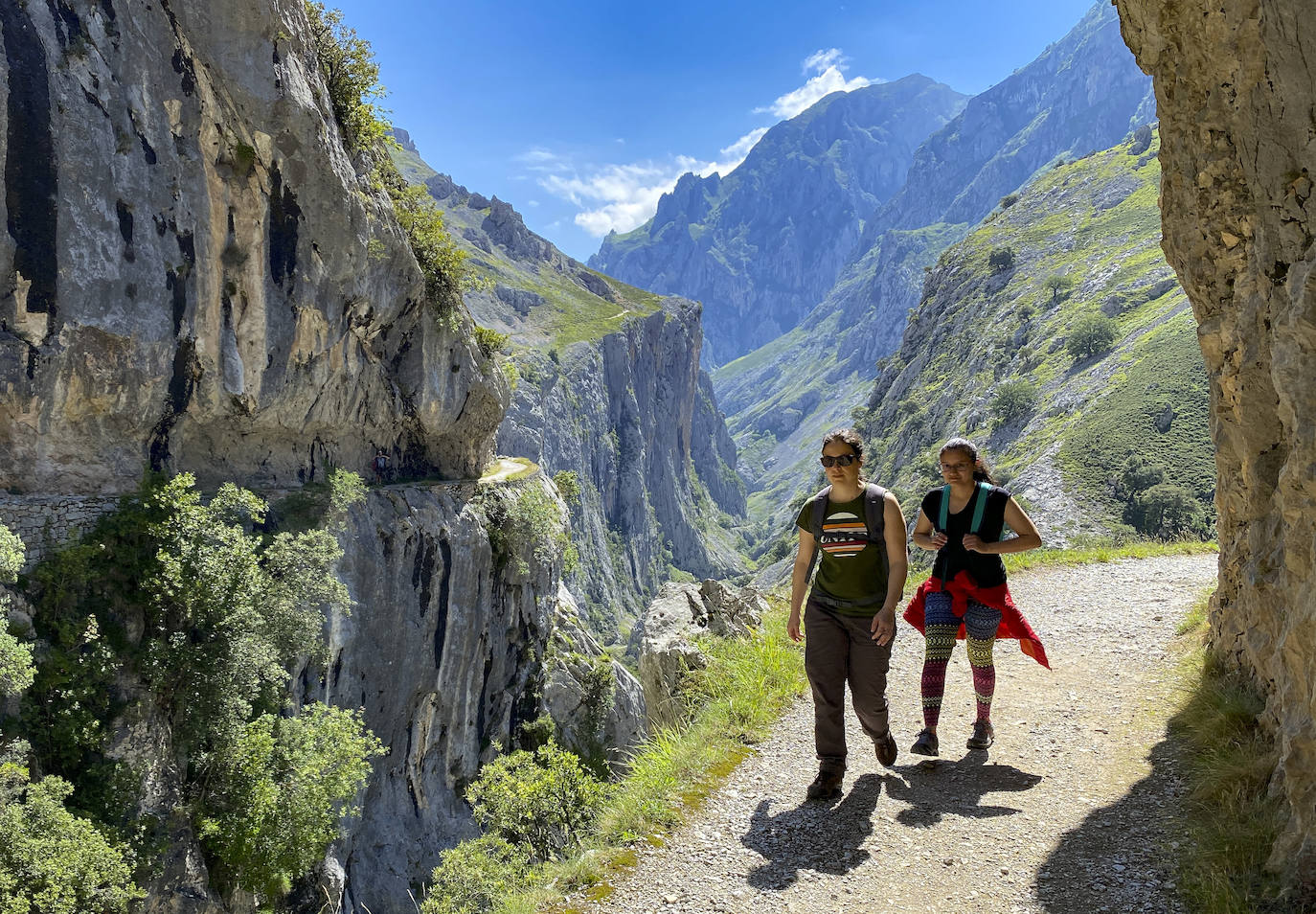 Los aficionados al senderismo han estrenado el verano y la nueva normalidad con un espléndido día para adentrarse en la montaña. El Urriellu, en los Picos de Europa, ha sido el telón de fondo mara muchos de los amantes de este deporte que ha acudido a realizar la popular Ruta del Cares. Poco a poco, el sendero va recuperando su afluencia habitual. 