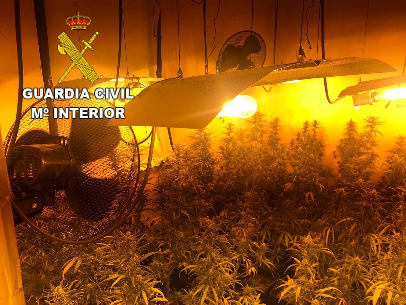 Fotos: La Guardia Civil detiene a tres personas y desmantela una plantación &#039;indoor&#039; de marihuana en San Miguel de las Dueñas