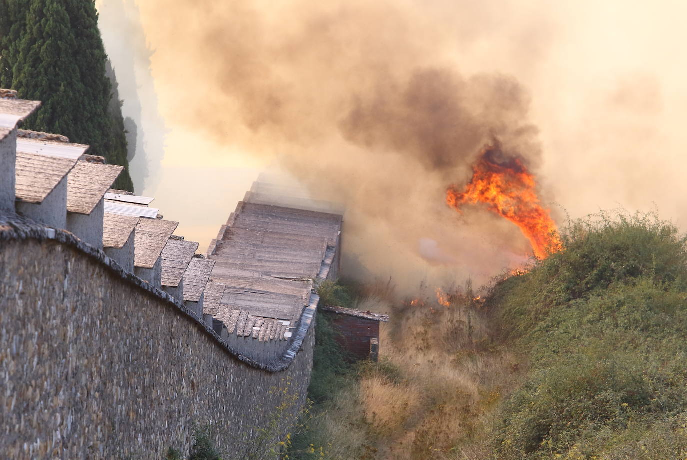 Fotos: Incendio forestal en las inmediaciones del cementerio de Ponferrada