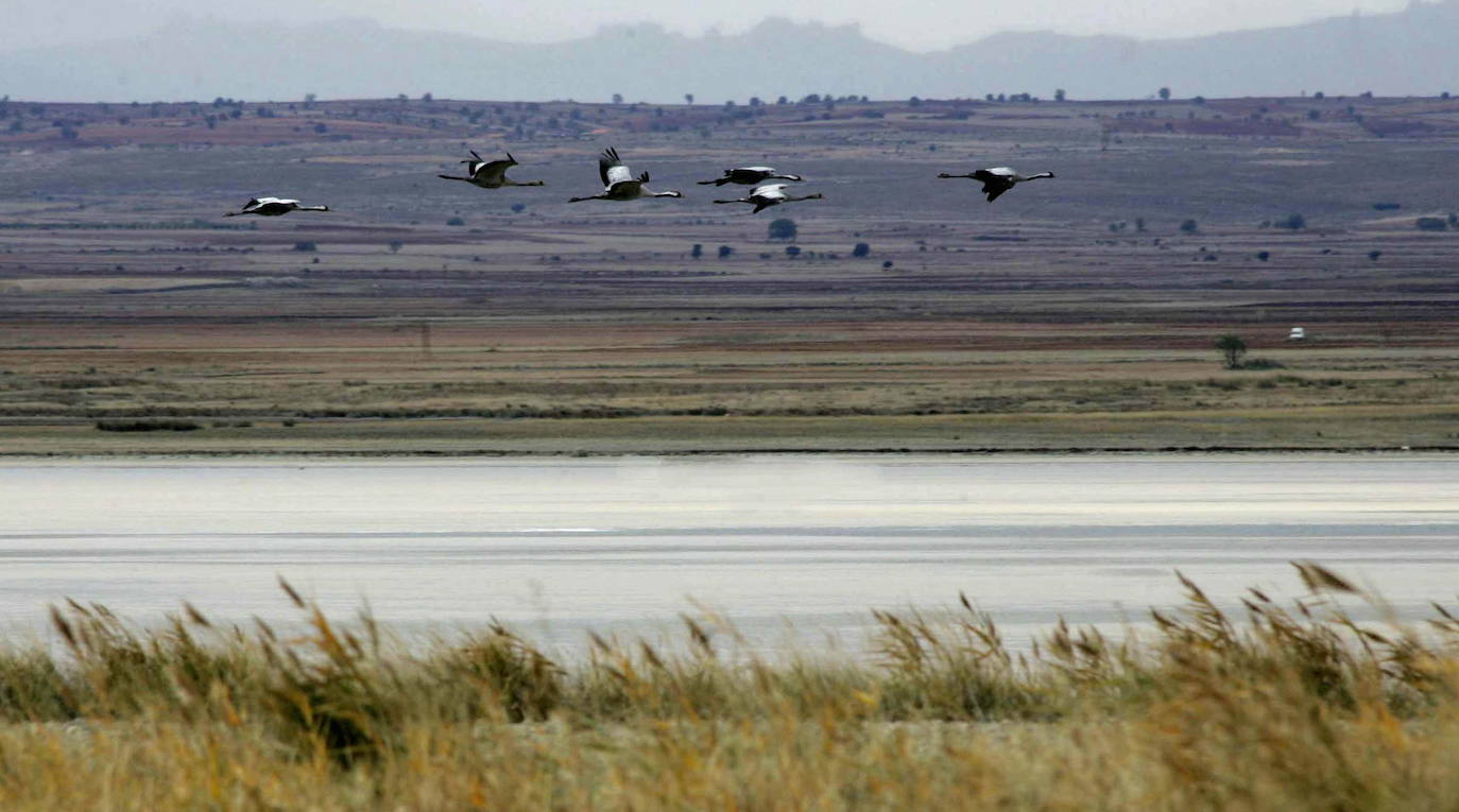 Laguna de Gallocanta, Zaragoza.