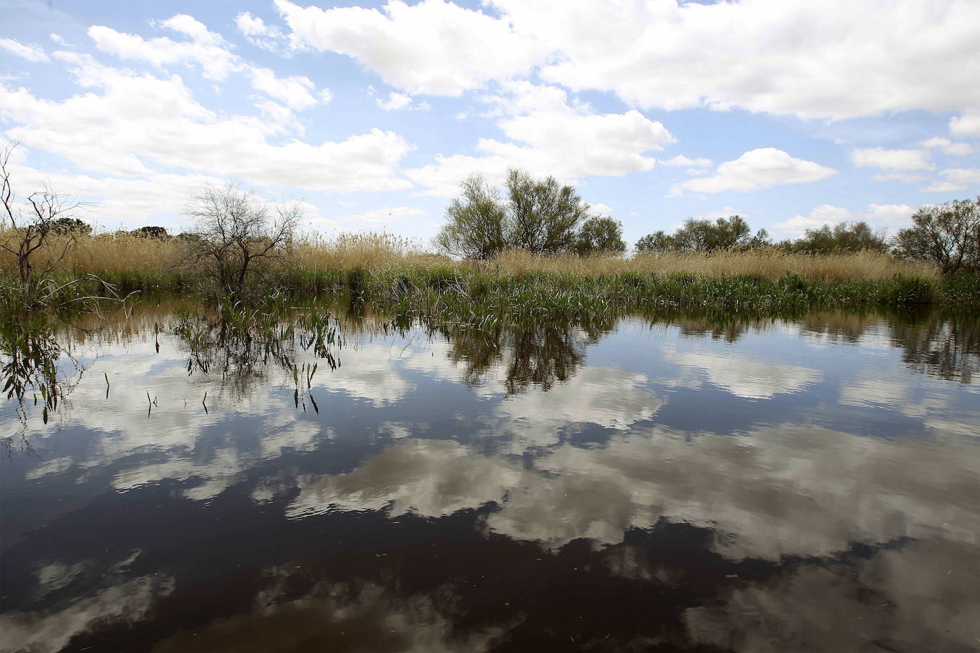 Tablas de Daimiel, Ciudad Real.