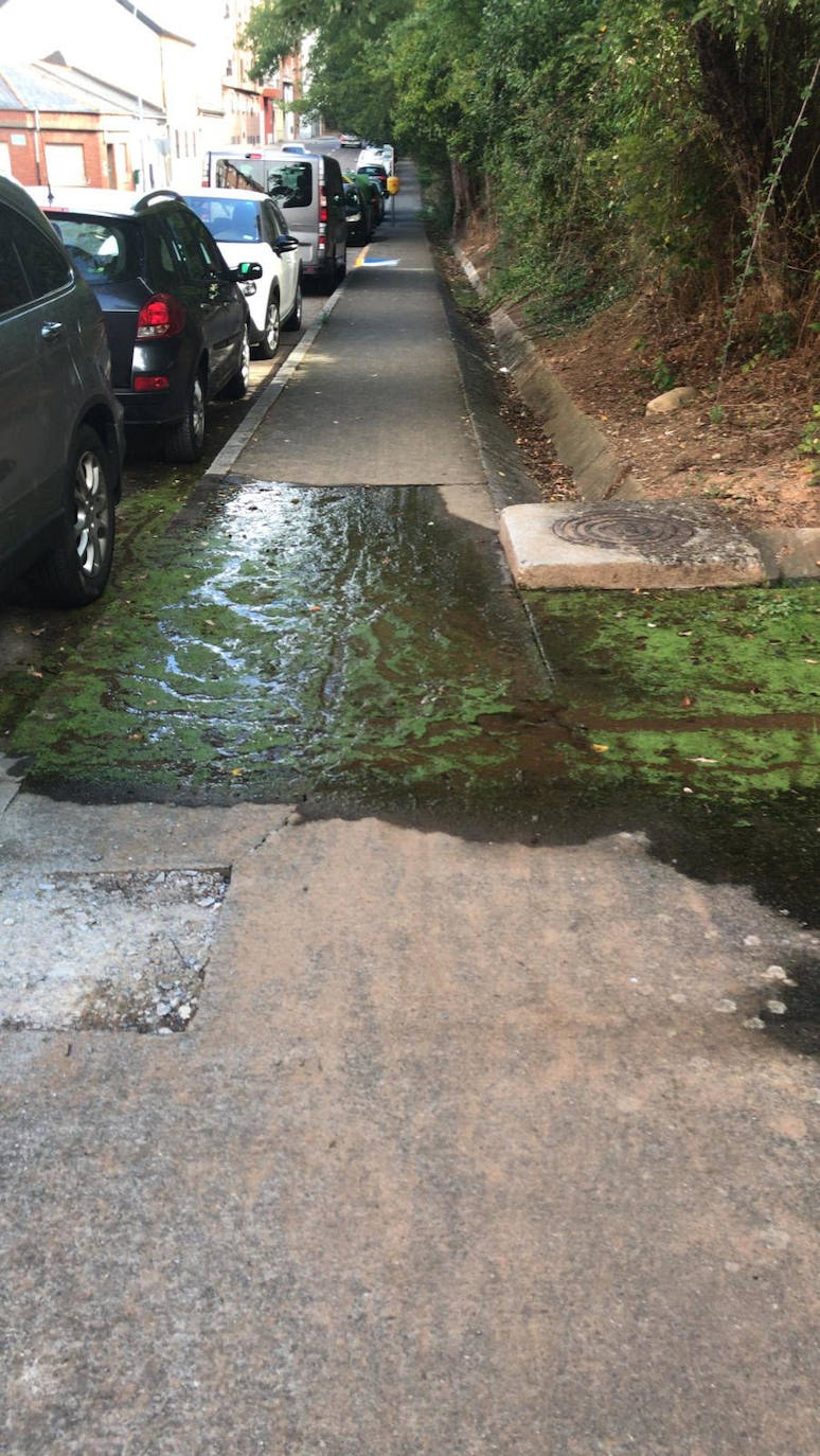 Fotos: El PP de Ponferrada denuncia el mal estado de la escalera que une el Plantío y el barrio de los Judíos