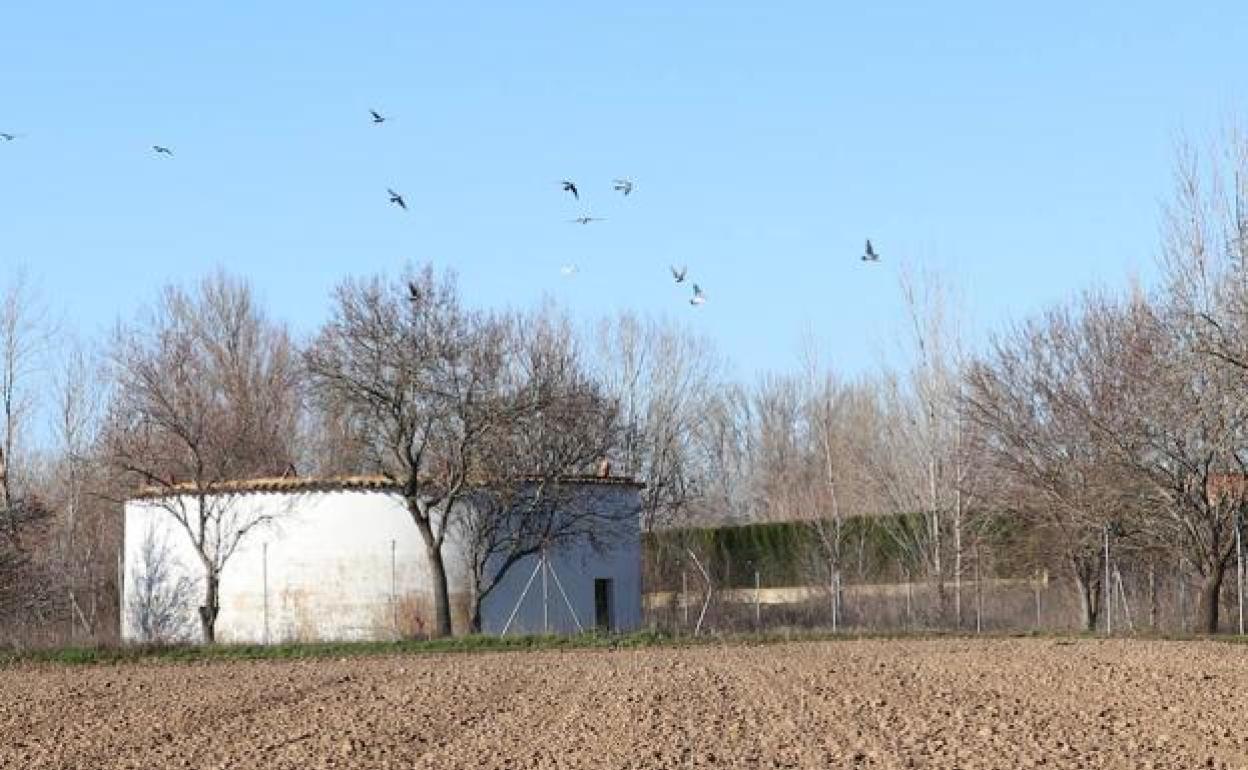 Un palomar en la provincia leonesa. 