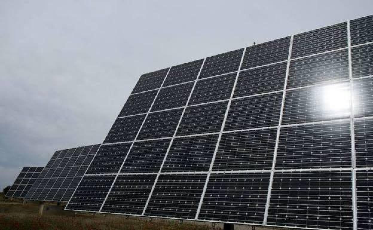 Imagen de unas placas solares en un parque fotovoltaico. 