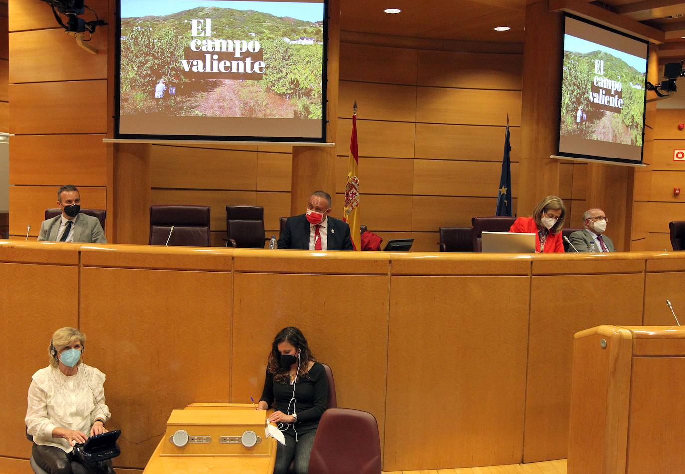 Fotos: El presidente del Consejo comparece en el Senado