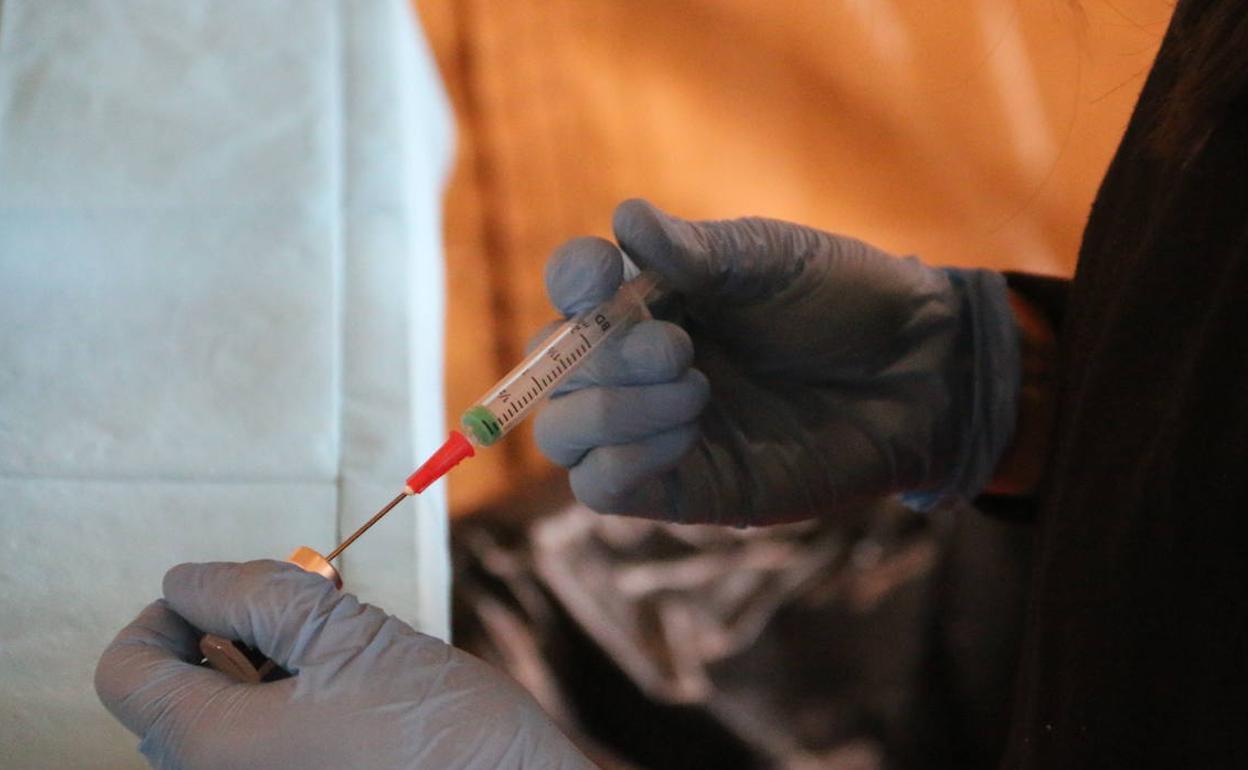 Vacunas para inyectar en zonas de la provincia.