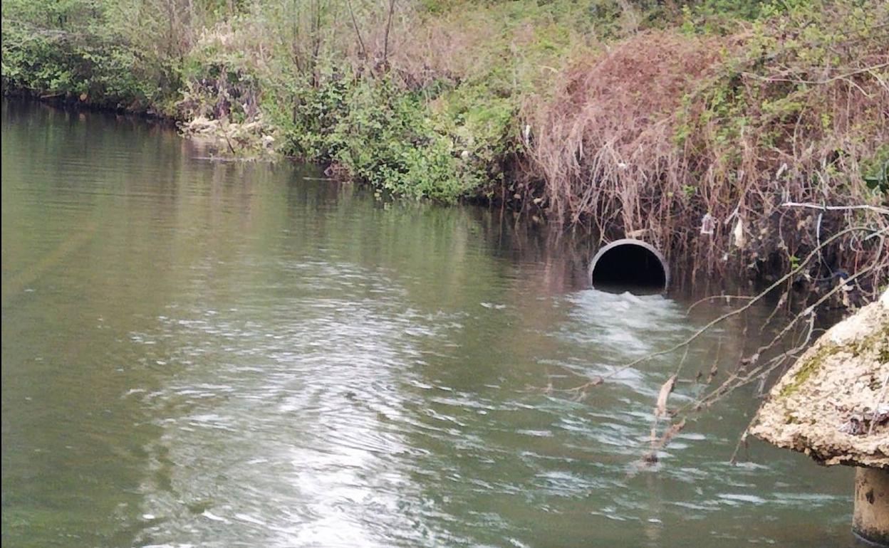 Vertido de aguas fecales al río Boeza.