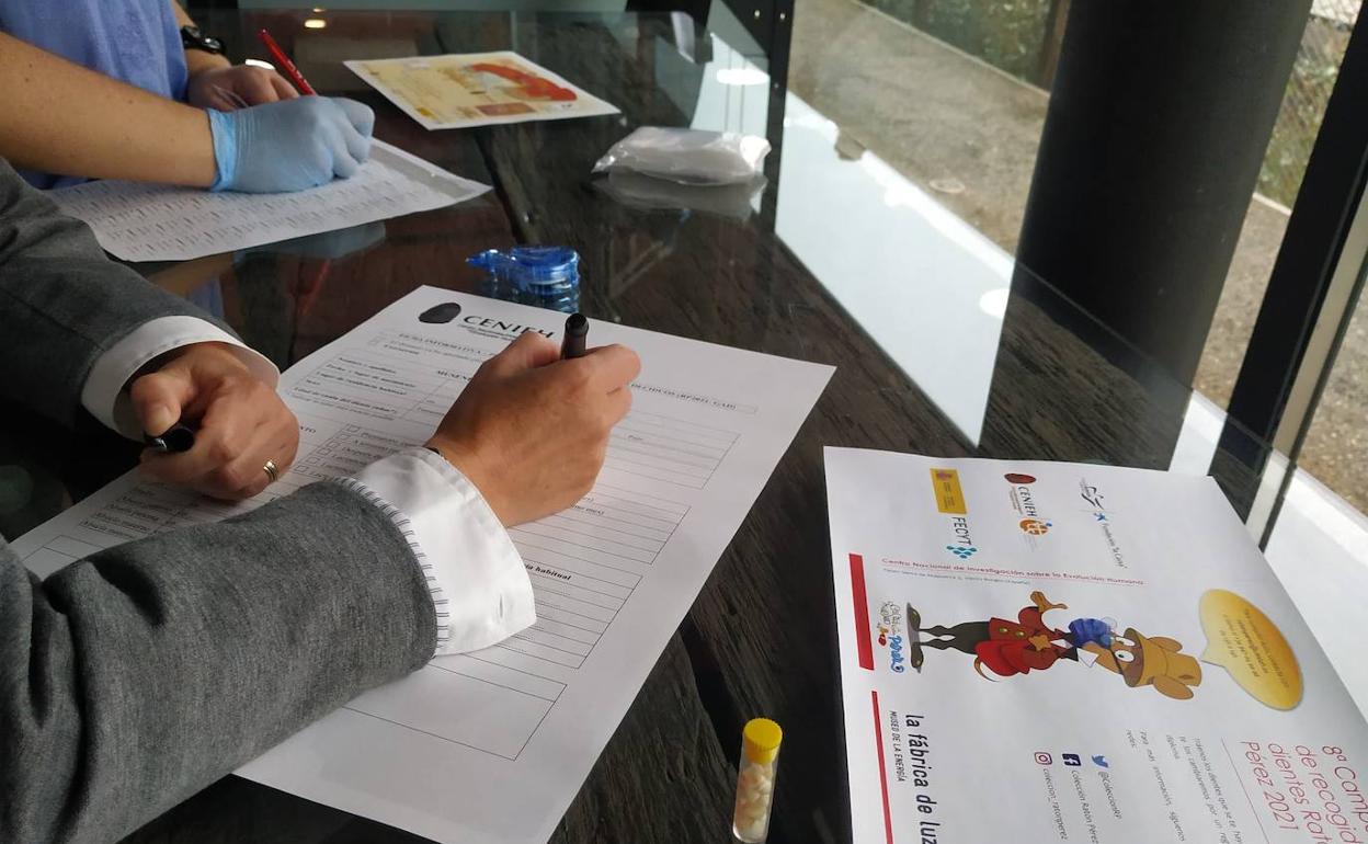 Recogida de dientes de leche en el Museo de la Energía.