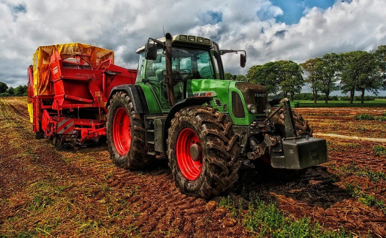 El sector agrario ha sido el que ha sufrido el mayor incremento del paro en octubre.