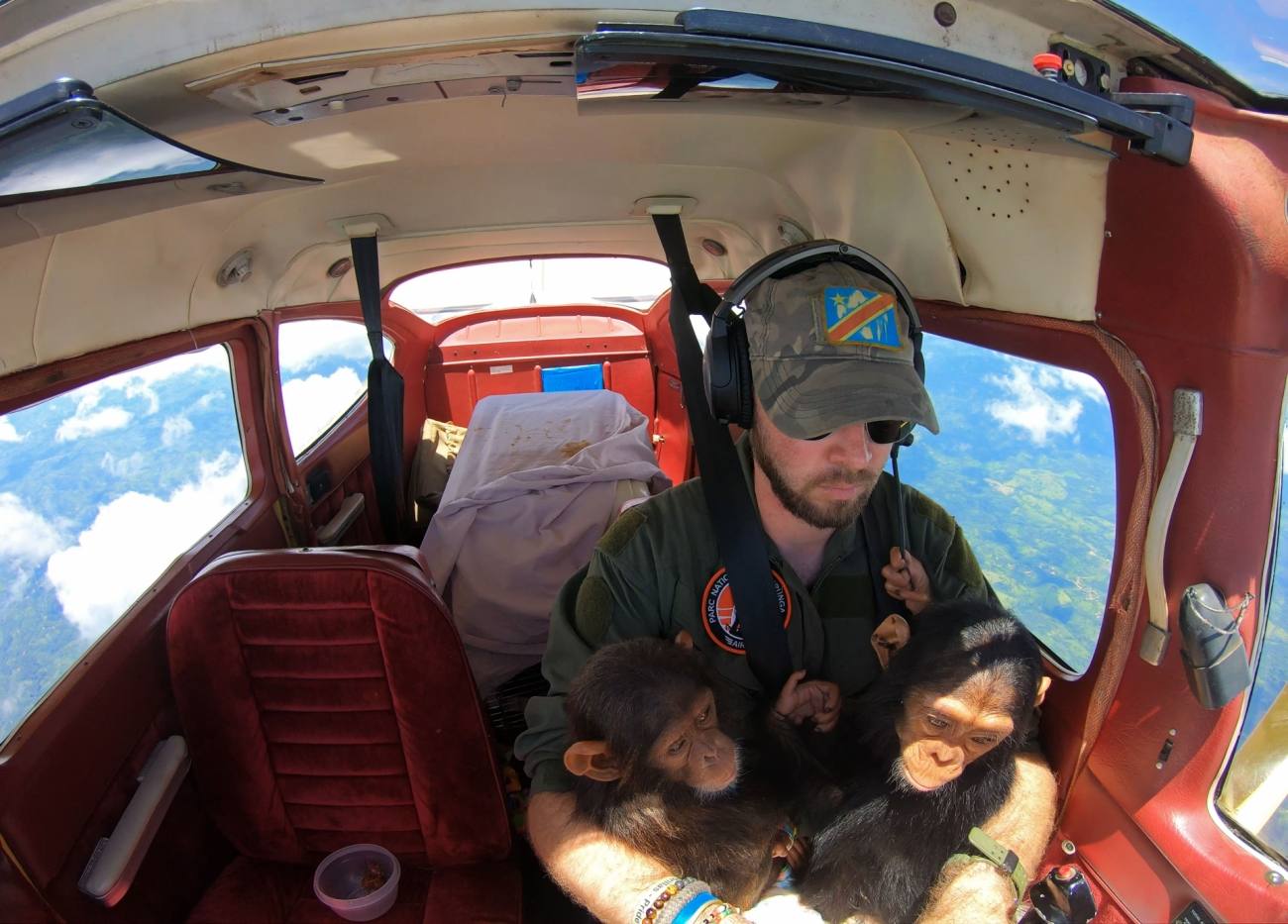 ‘Salvando chimpancés en el Congo’, por Brent Stirton. “Rescatar y salvar a las crías de chimpancé es difícil. Cuando son capturados por cazadores furtivos, están sujetos a un tremendo trauma y abuso y no pueden acceder a la nutrición que necesitan para sobrevivir. El cuidado requerido para su supervivencia es similar al que requieren los bebés humanos, un tiempo de necesidad a menudo agotador las 24 horas del día, los 7 días de la semana. Muchos de los cuidadores de este santuario son víctimas del conflicto y varios de ellos han sido violados, desplazados o heridos. Ven que los chimpancés los están curando tanto como curan a los chimpancés. El comercio de carne de animales silvestres en la cuenca del Congo es el más pesado del mundo. A los chimpancés a menudo se les dispara para el comercio y sus bebés se llevan para una posible venta. Este ensayo intenta mostrar algo de lo que se requiere”.