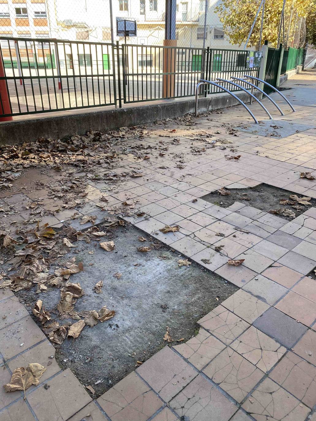 Fotos: Desperfectos en el colegio Navaliegos
