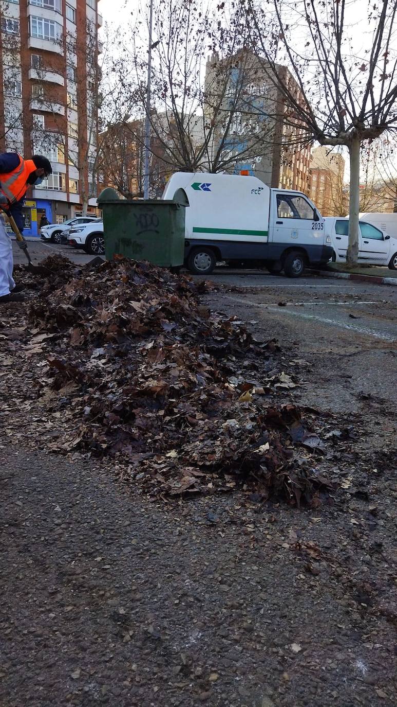 Los operarios del servicio de limpieza viaria retiran las hojas secas acumuladas en varias zonas de la ciudad.