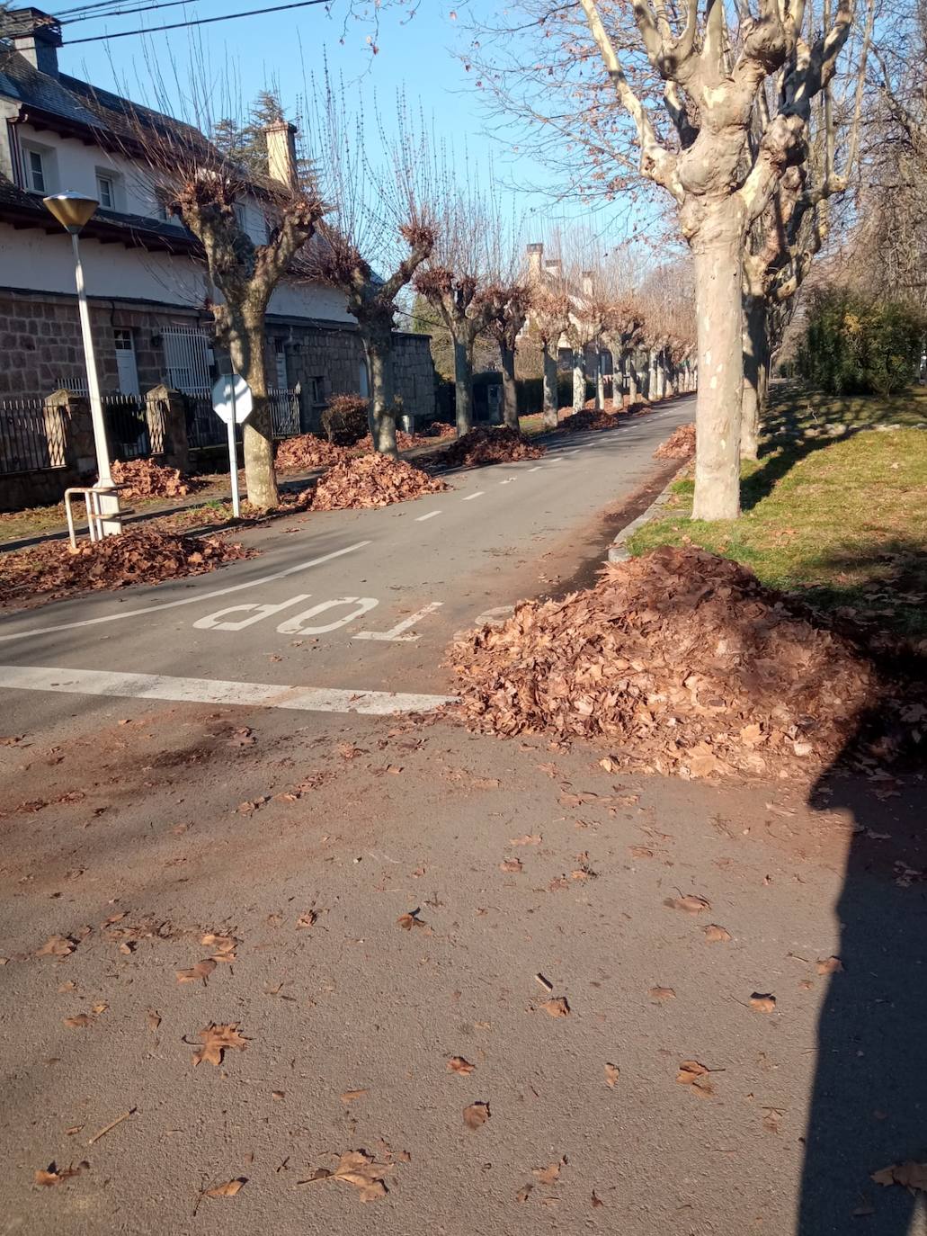 Los operarios del servicio de limpieza viaria retiran las hojas secas acumuladas en varias zonas de la ciudad.