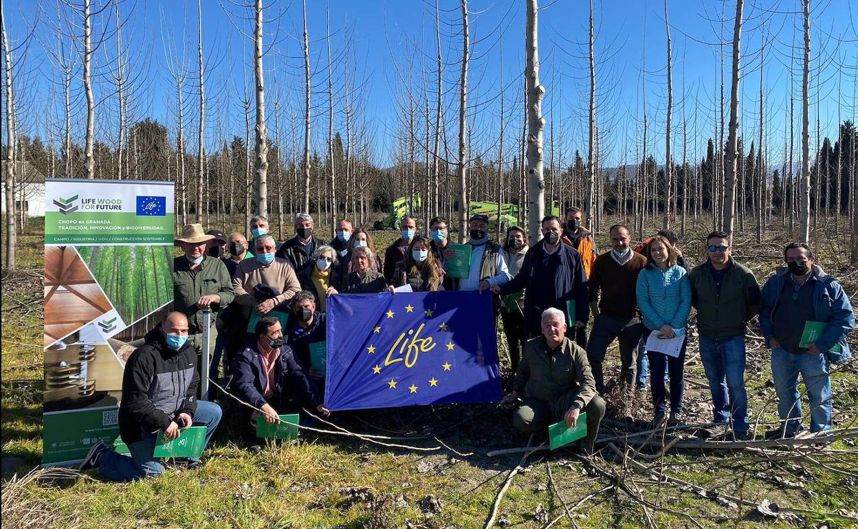 La EIAF presentó la app 'Chopo 4D' en la jornada del proyecto europeo 'LIFE Wood for Future' en Granada.