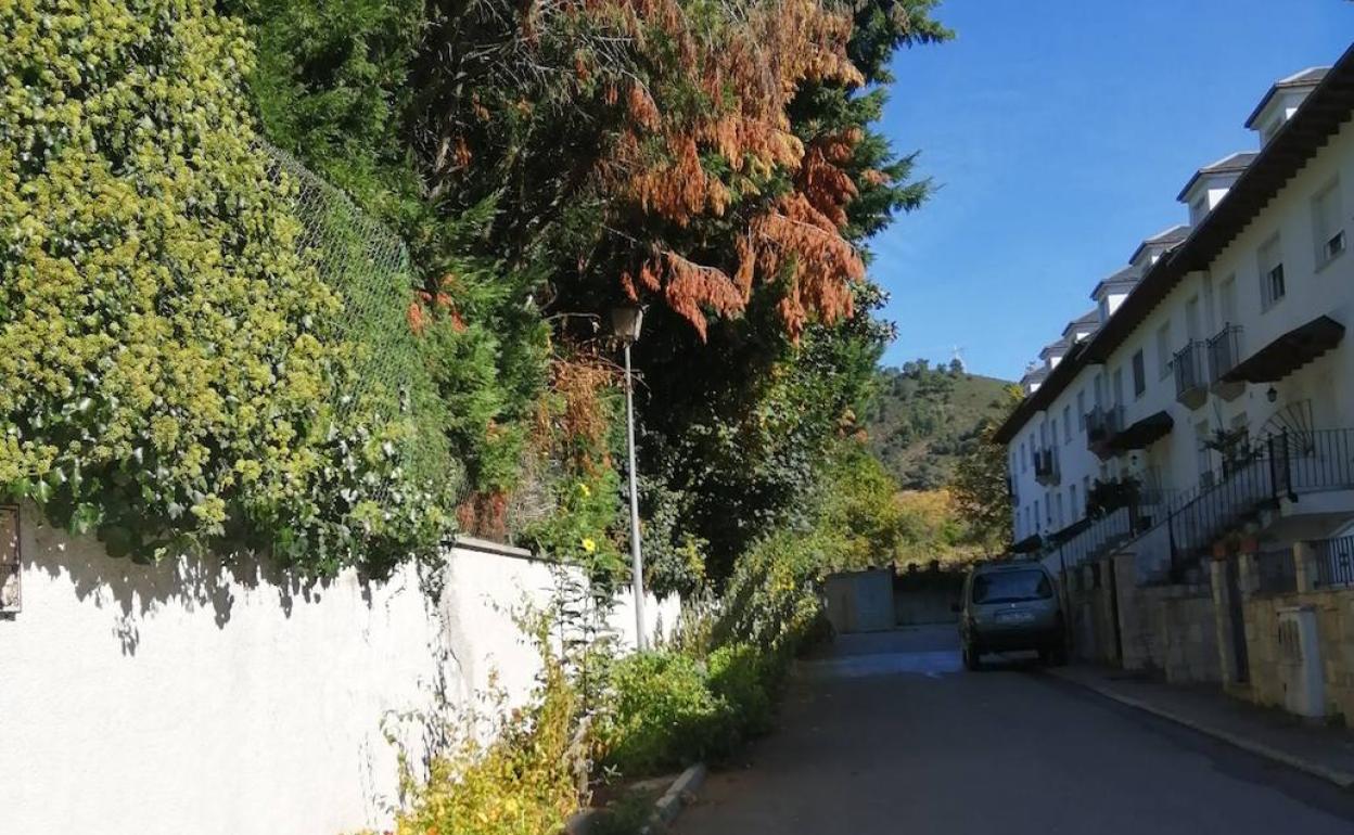 Imagen de la calle Primitivo Álvarez Armesto en Villafranca.