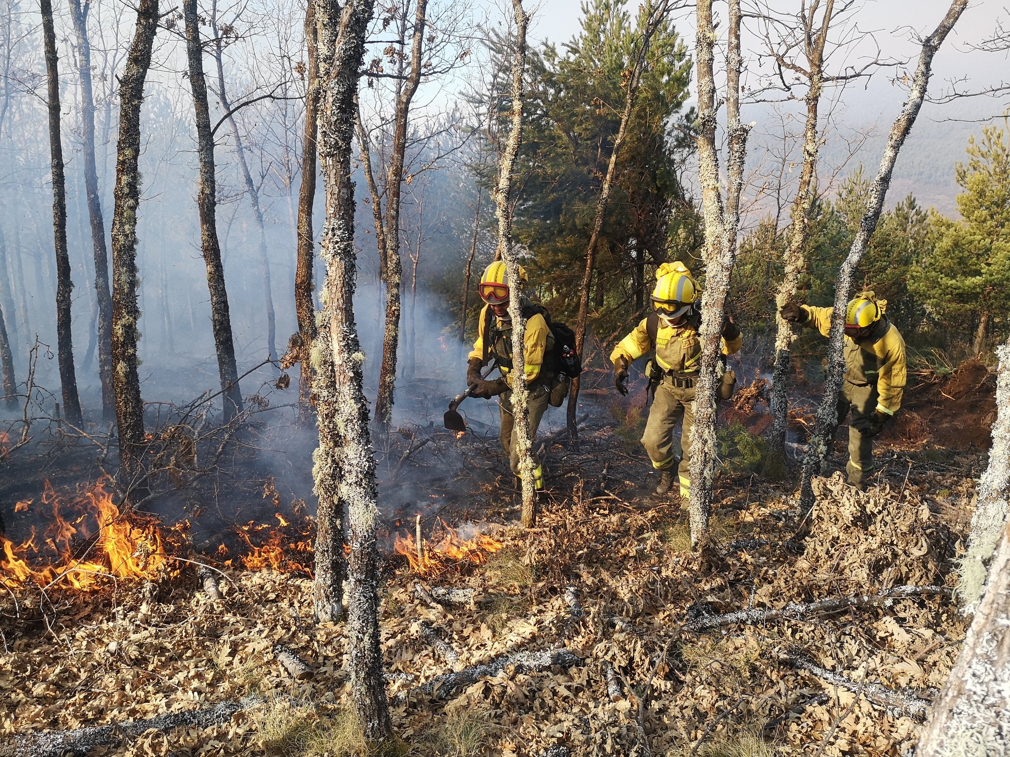 Varios brigadistas y helicópteros trabajan en la extinción de un incendio decretado este martes.