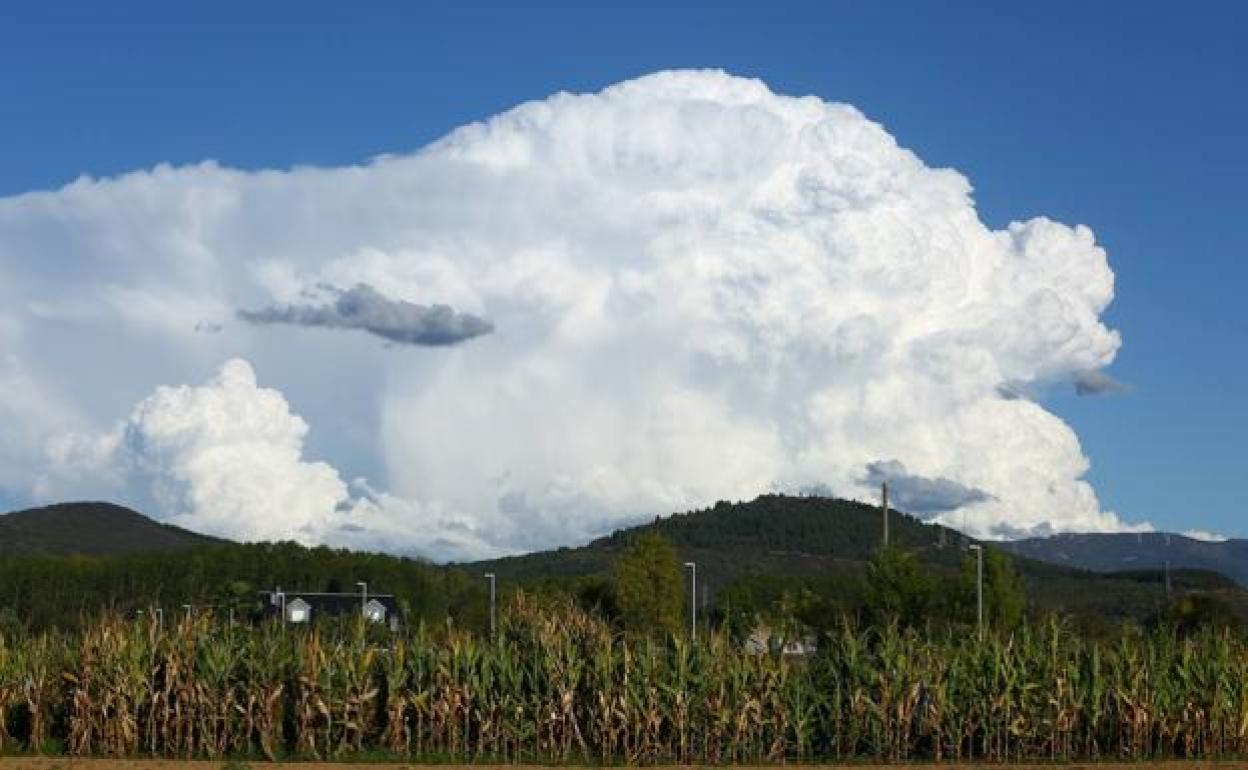 Imagen de un área rural del municipio de Ponferrada.