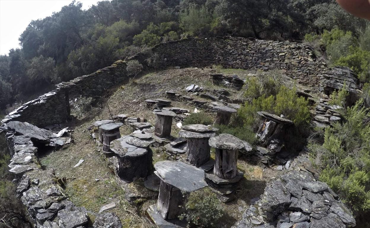 Cortines de Fonfría.