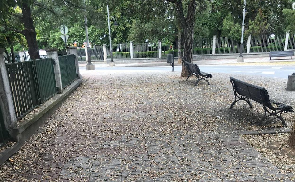 Imagen de una acera de Ponferrada llena de hojas mojadas.