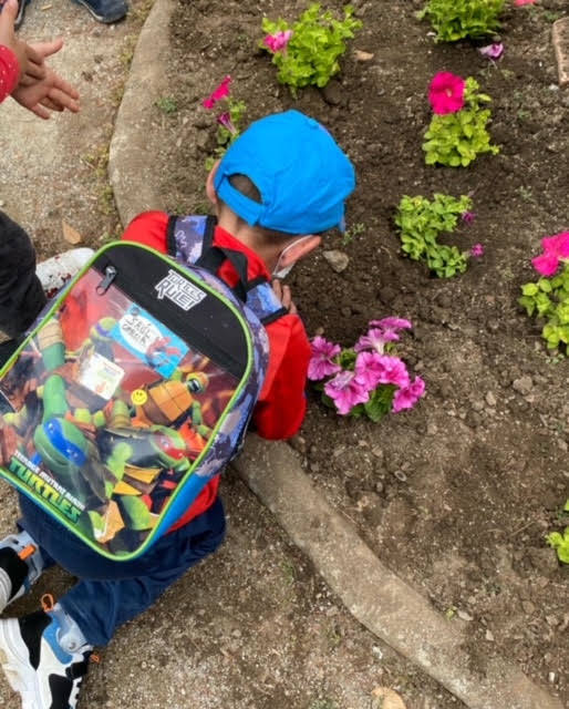 Fotos: Ponferrada y Bembibre celebran el Día Mundial del Medio Ambiente