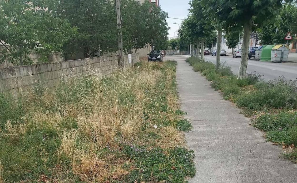 Estado de una zona de la avenida de La Cemba.