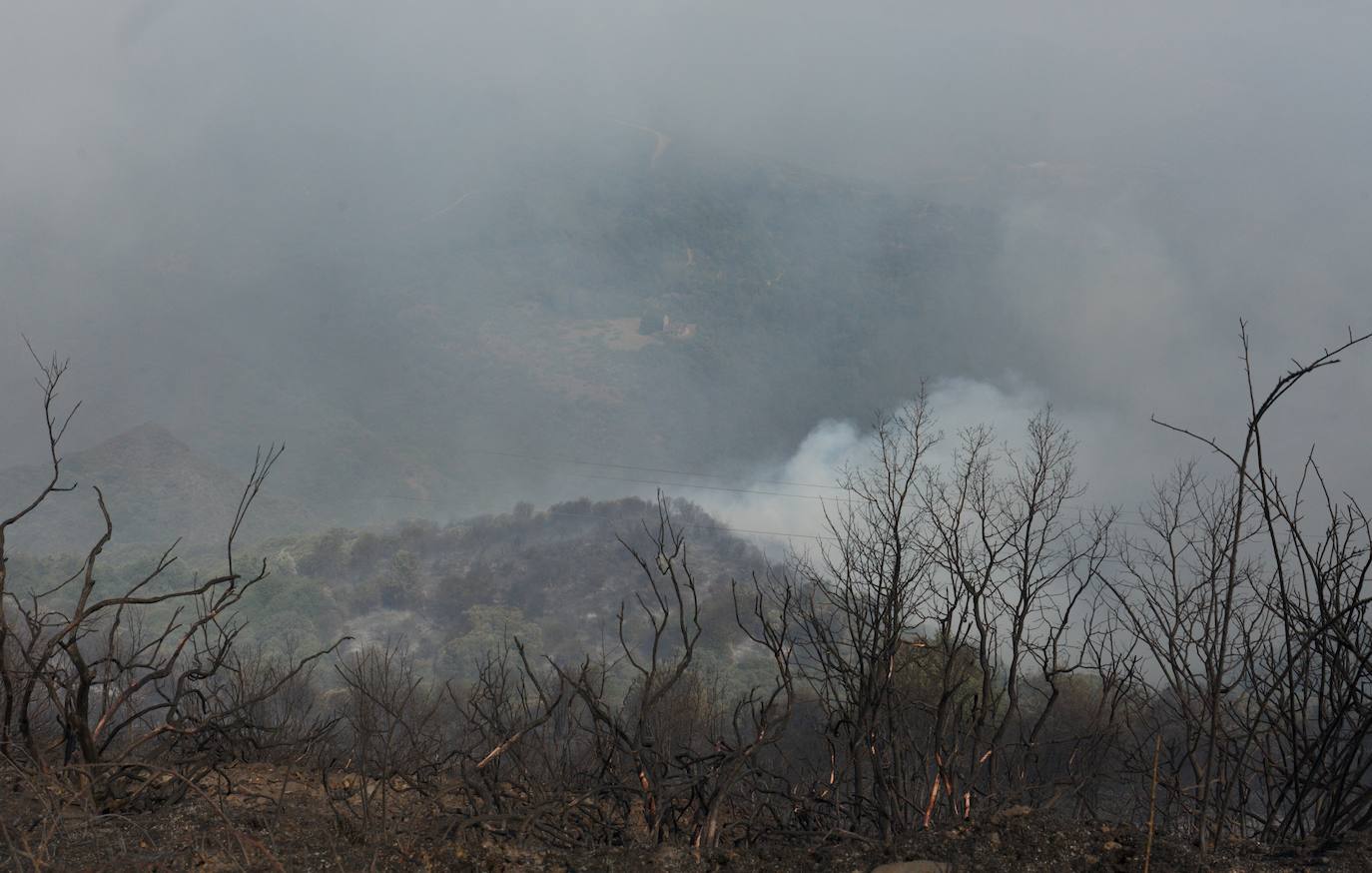 Incendio en el monte Aquiana en el Bierzo, por el que ha tenido que ser desalojado el pueblo de San Adrián. 