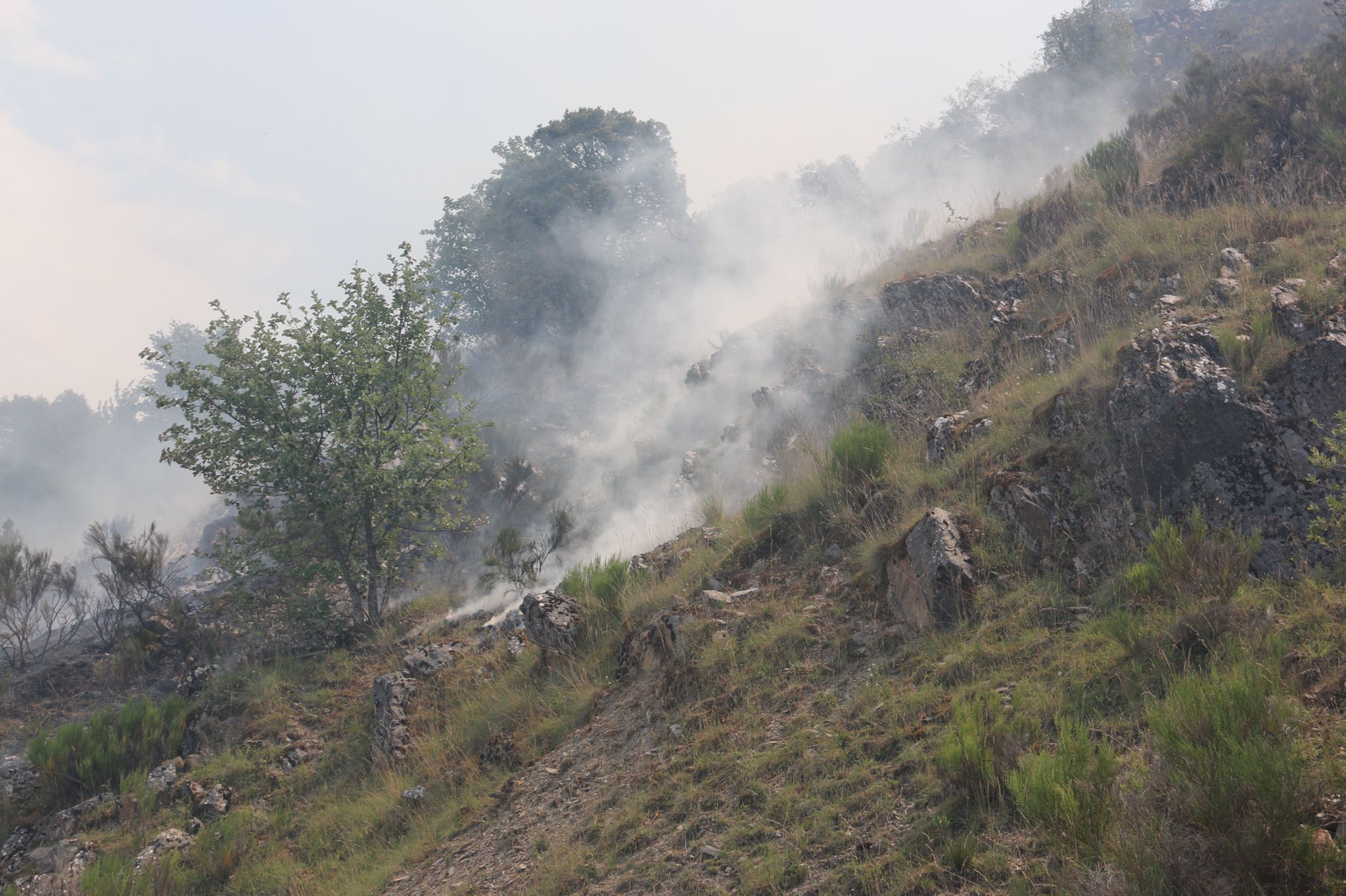 Fotos: Incendio forestal en Montes