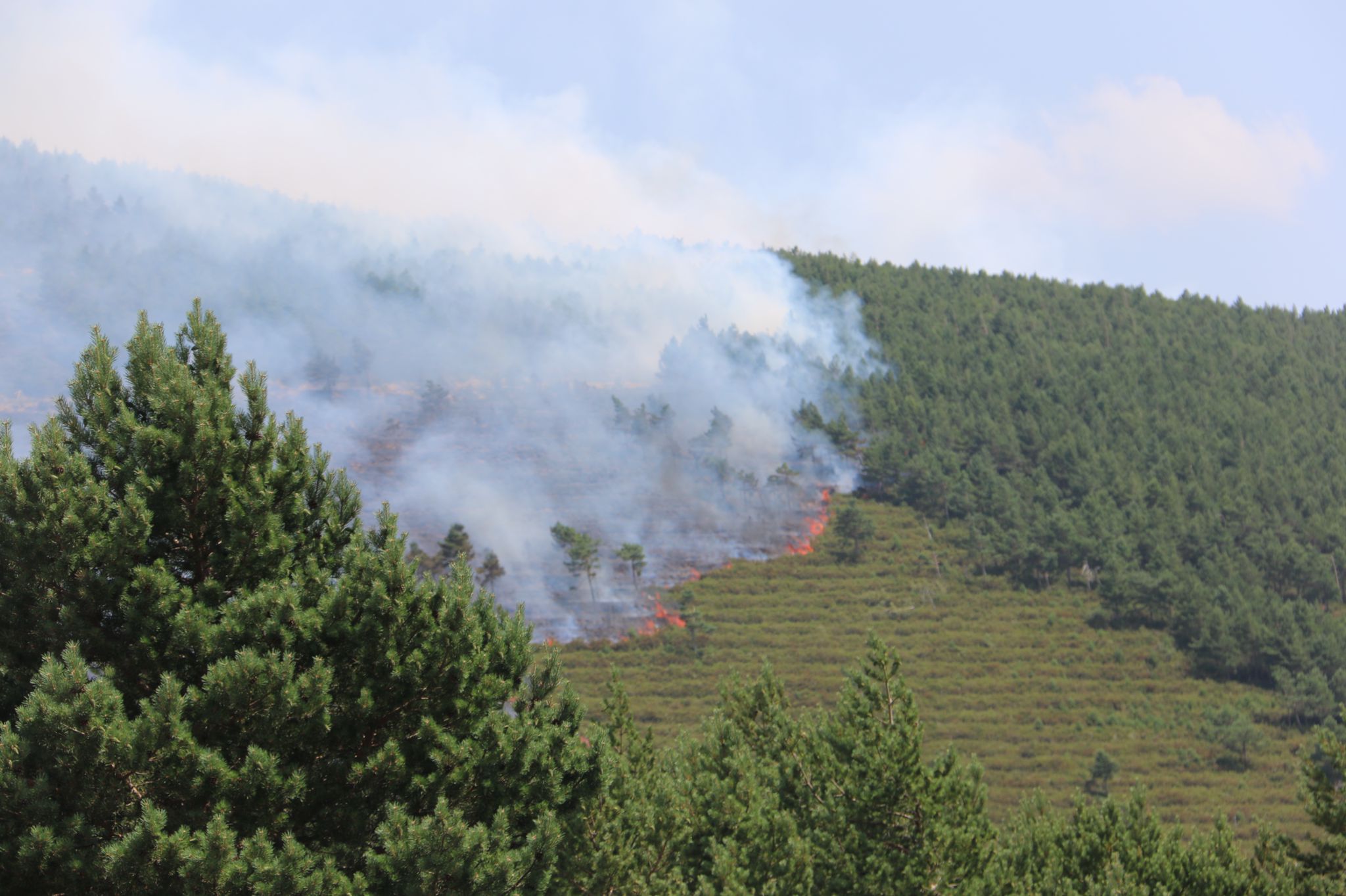 Fotos: Incendio forestal en Montes