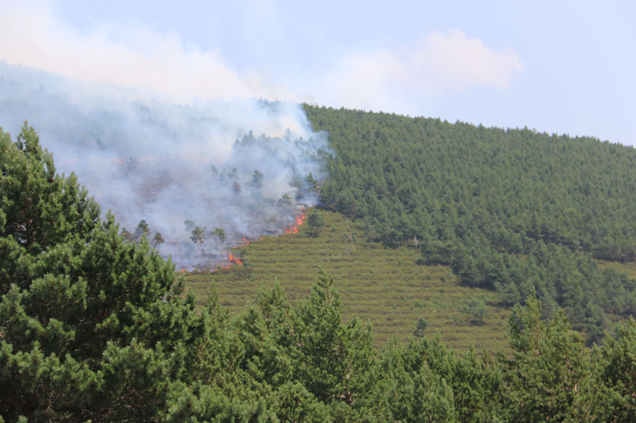 Fotos: Incendio forestal en Montes