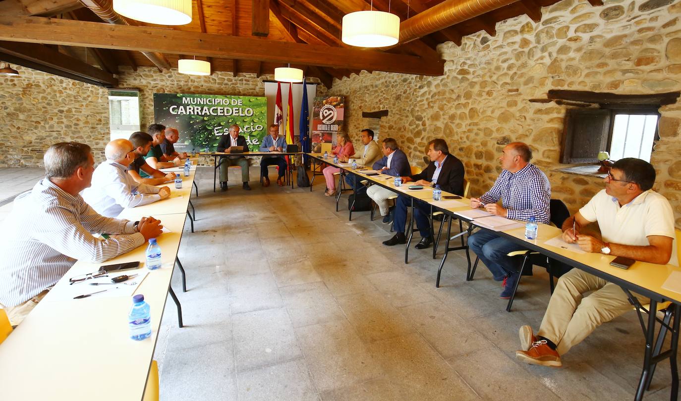 Fotos: El consejero de Agricultura se reúne con los Consejos Reguladores del Bierzo