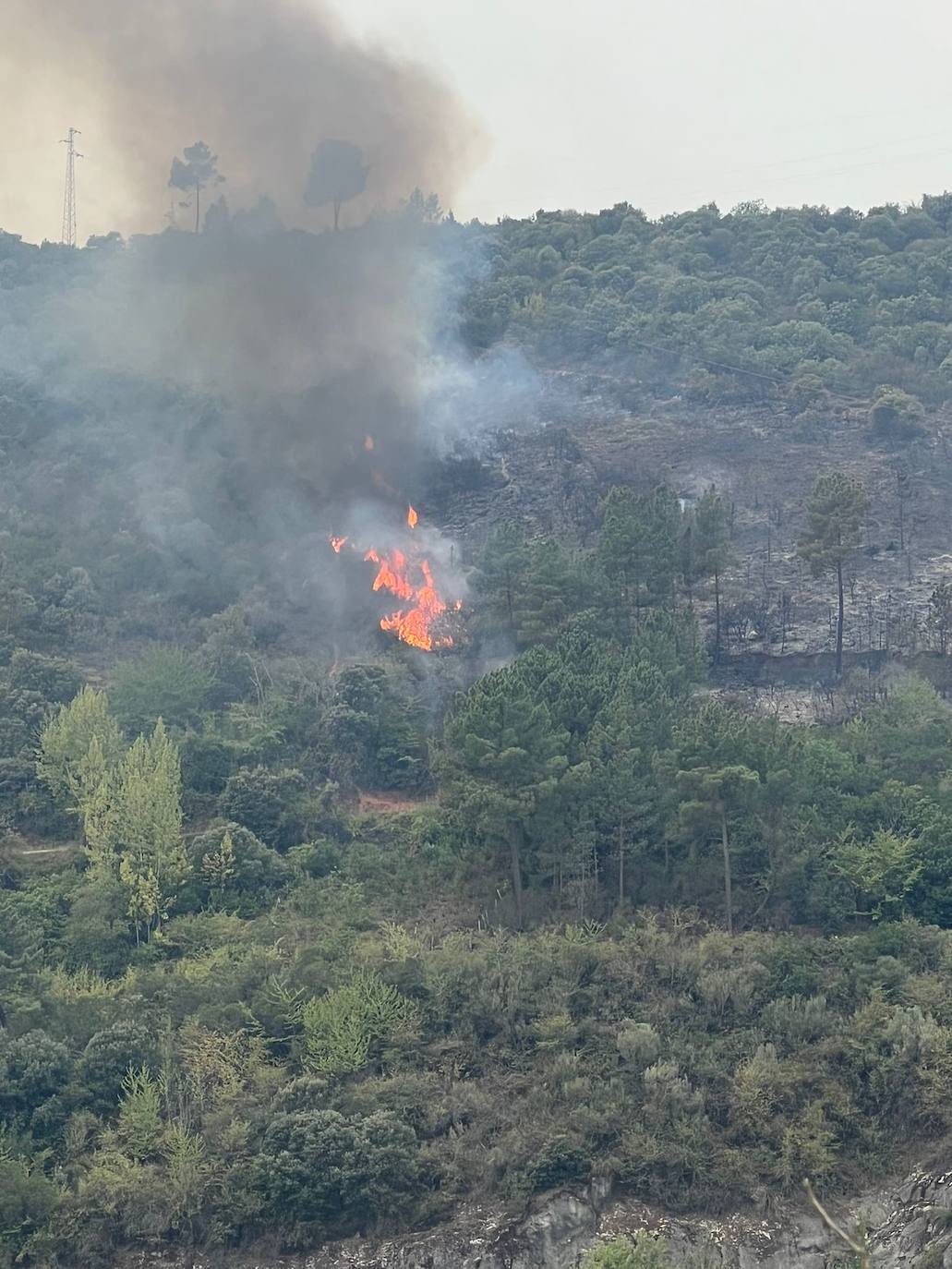 Fotos: Incendio en Galicia que amenaza Puente de Domingo Flórez