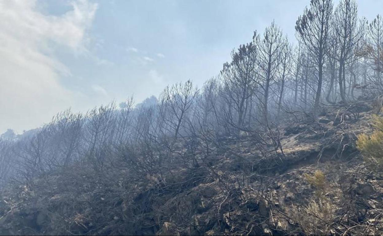 Superficie arrasada por el incendio en Montes de Valdueza.