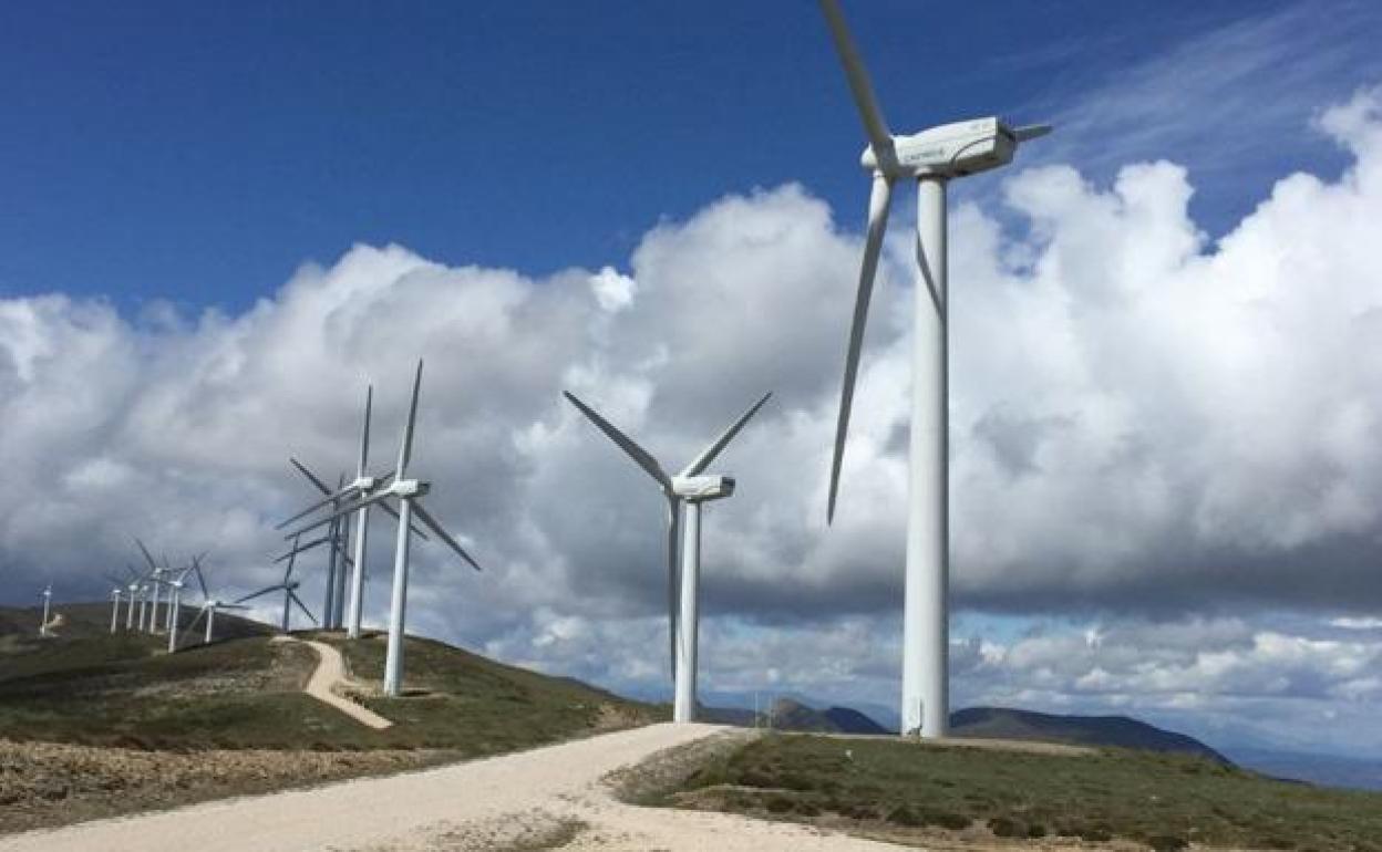 Imagen de un parque eólico.