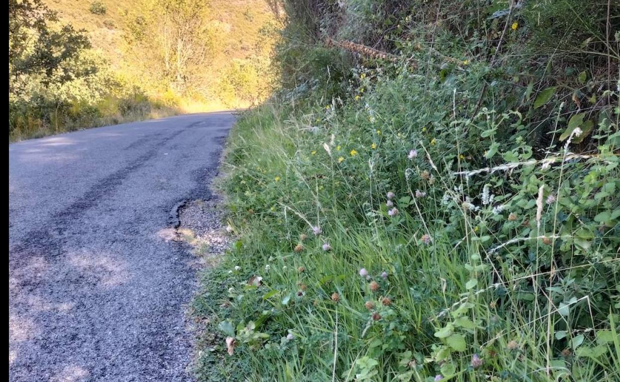 Imagen del deficiente estado de la carretera de Burbia.