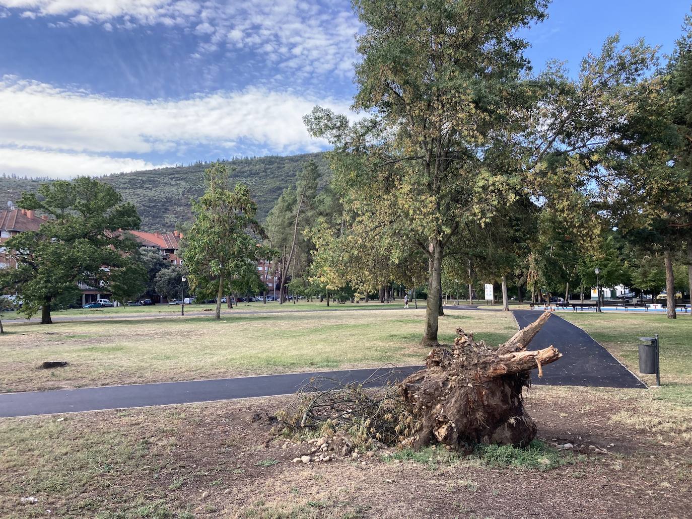 Obras de asfaltado de calles en el parque del Temple.