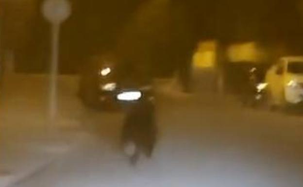 El oso fue visto por un taxista corriendo por las calles del centro de Ponferrada hasta que la policía local lo dirigió hacia el Monte Pajariel. 
