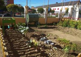 Huerto del colegio Valentín García Yebra de Ponferrada.