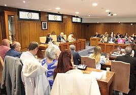 Imagen del pleno de este viernes.