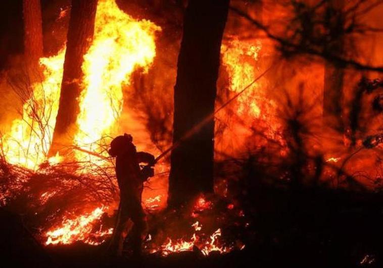 Medios aéreos y terrestres sofocan un pequeño incendio en Matachana