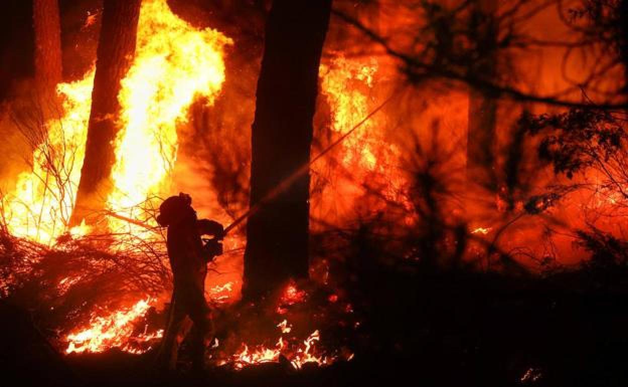 Medios aéreos y terrestres sofocan un pequeño incendio en Matachana