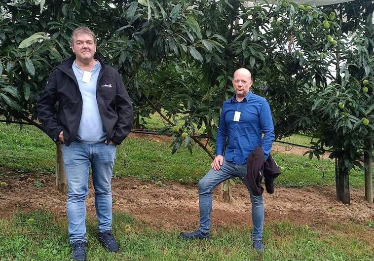 La Mesa del Castaño del Bierzo sella la creación del clúster europeo de la castaña