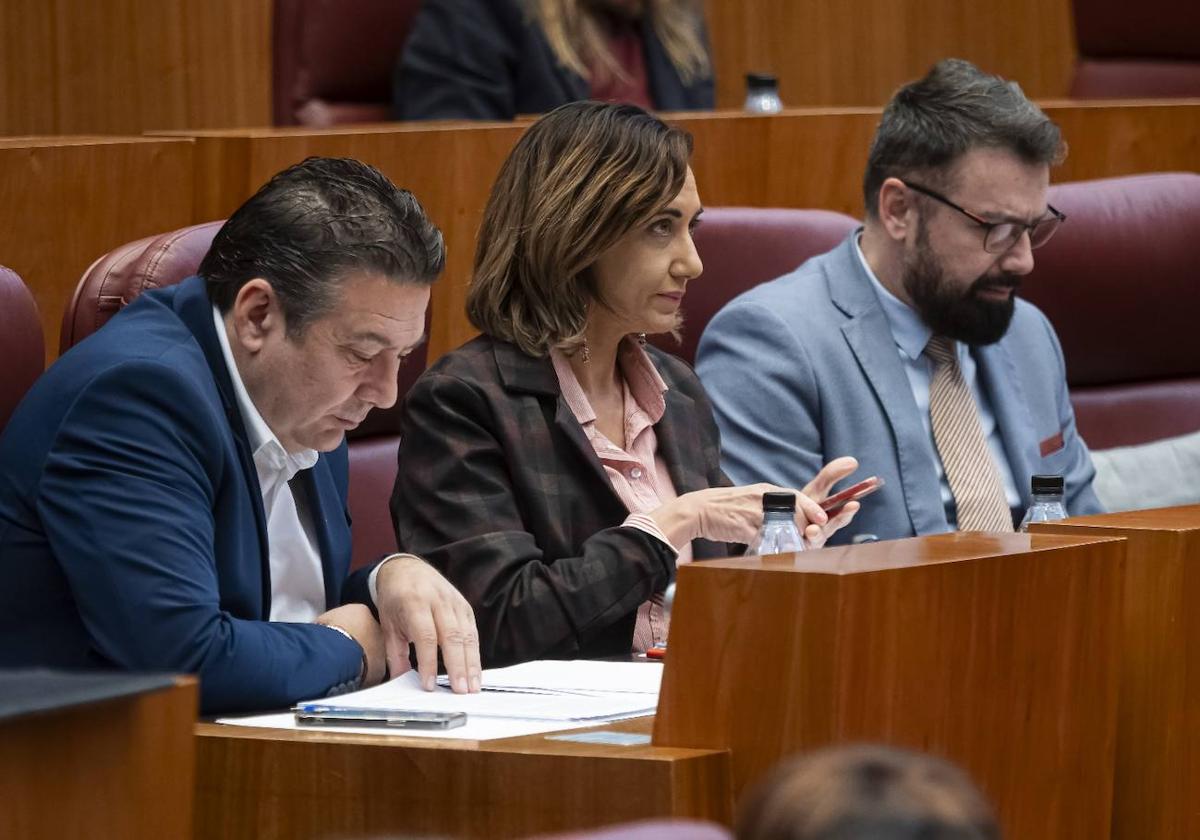 UPL reprobará a la Junta las «condiciones» de la residencia de mayores de Ponferrada