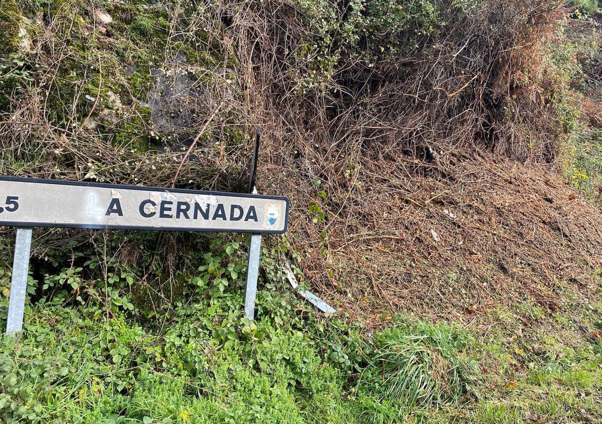 Acceso a la localidad berciana de La Cernada, en el municipo de Vega de Valcarce.