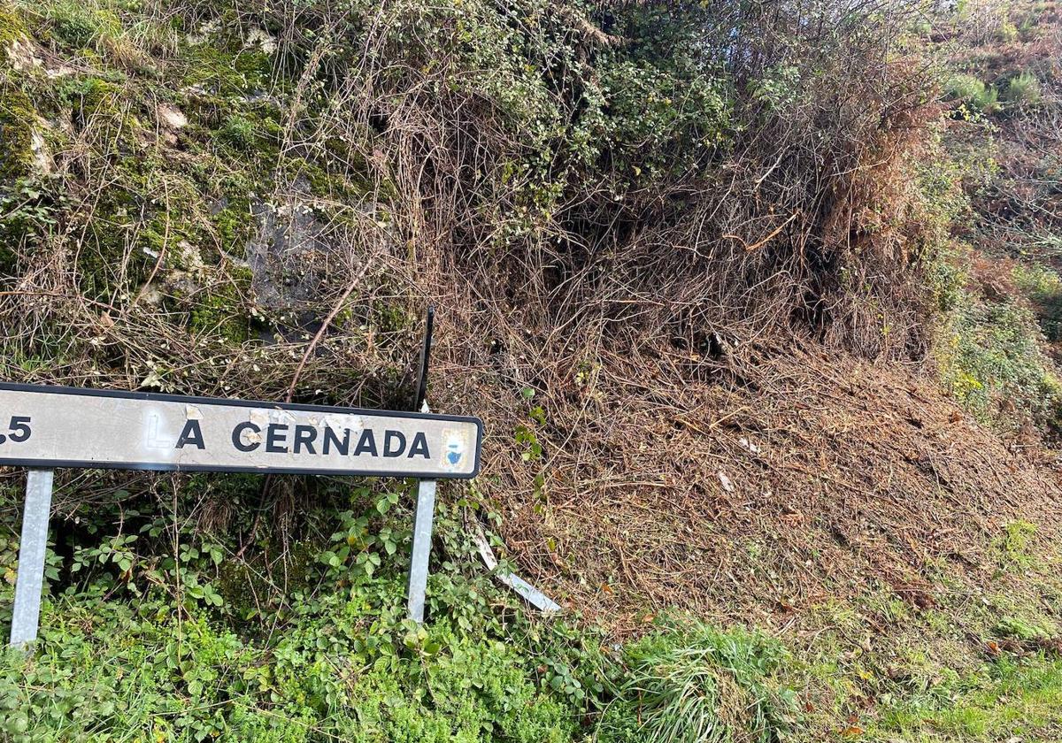 La Cernada quiere dejar El Bierzo e irse a Galicia