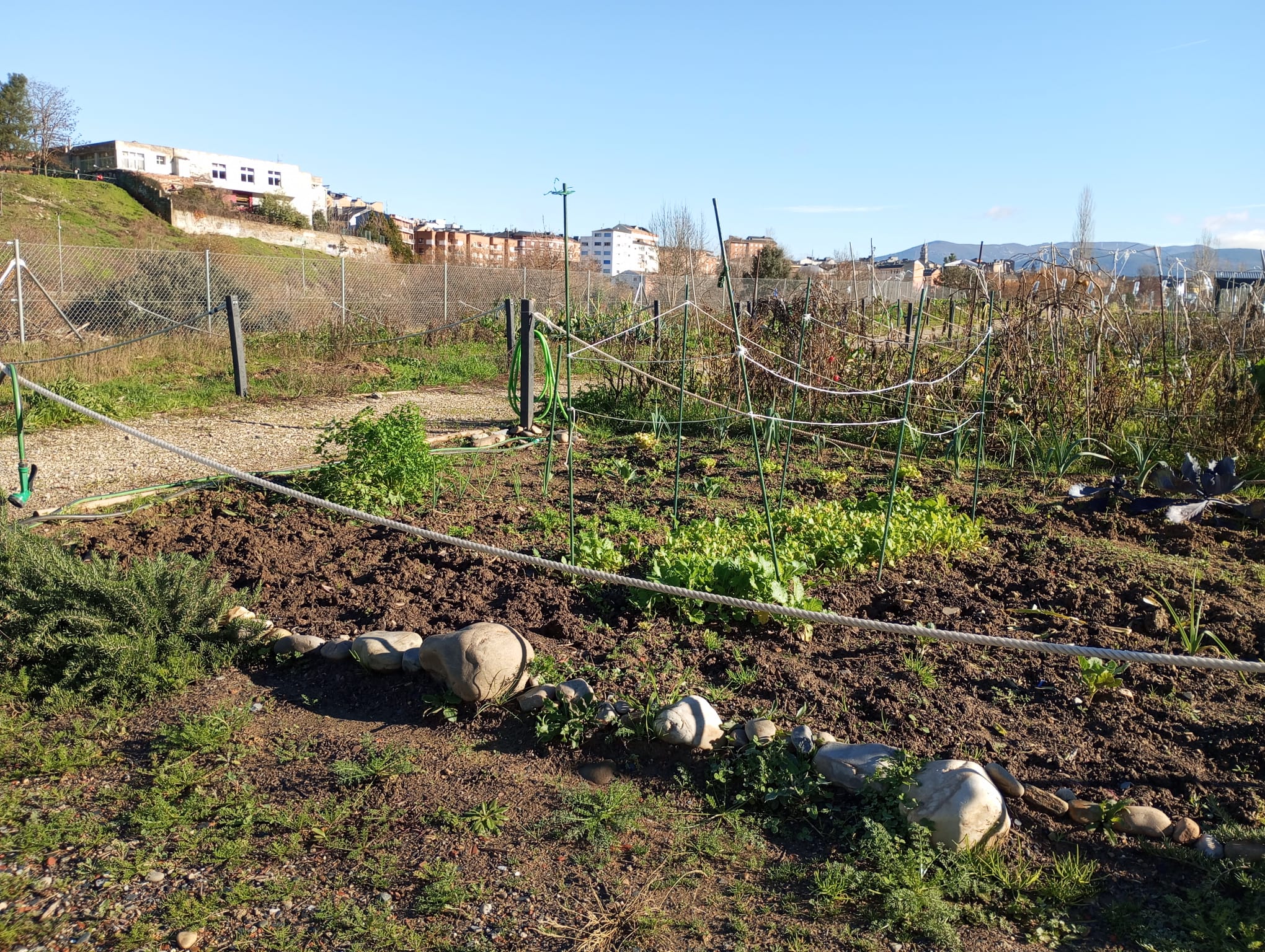 Un cachito de huerta en casa